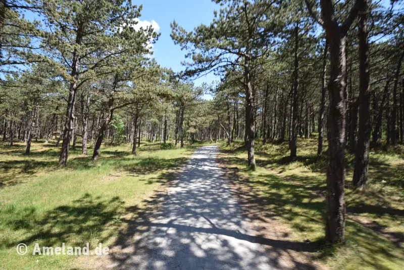 Hollum Hollumerbos Pad, Ameland