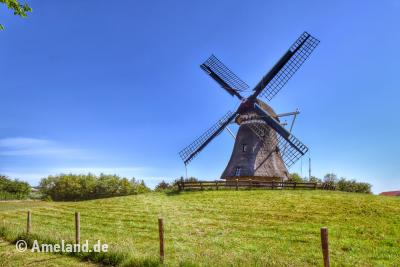 Molen de Phenix, Hollum, Ameland