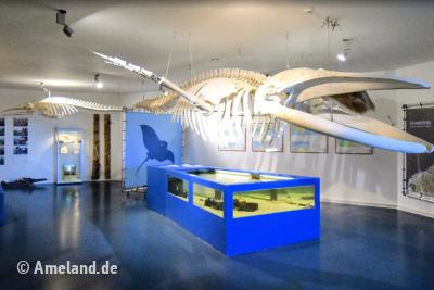 Natuurcentrum, Nes, Ameland