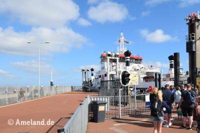 Veerboot Ameland Holwerd
