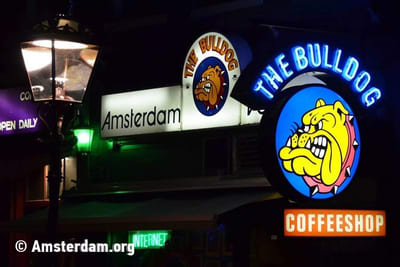 Coffeeshop Bulldog Amsterdam