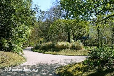 Hortus Botanicus, Amsterdam