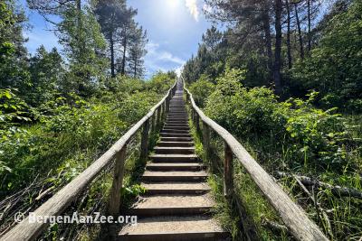 Hoge trap, Schoorlse Duinen