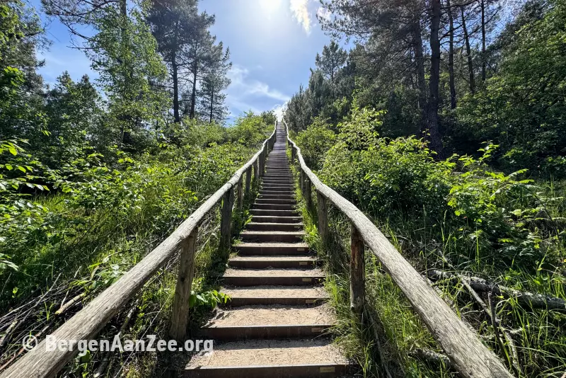 Schoorlse Duinen Hoge Trap, Bergen aan Zee