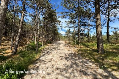 Zandpad, Schoorlse Duinen