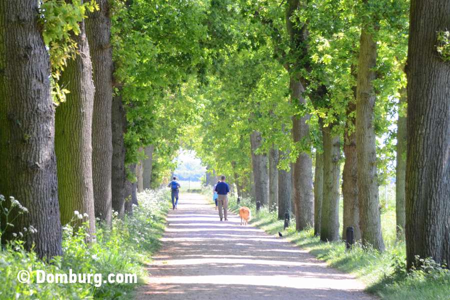 Manteling 1105 4, Domburg