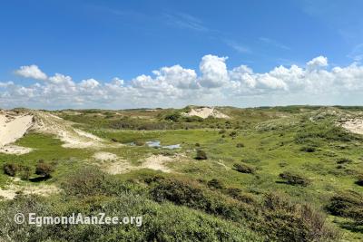 Noordhollands Duinreservaat, ten zuiden van Bergen aan Zee
