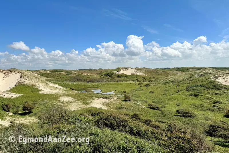 Noordhollands Duinreservaat Duinen, Egmond