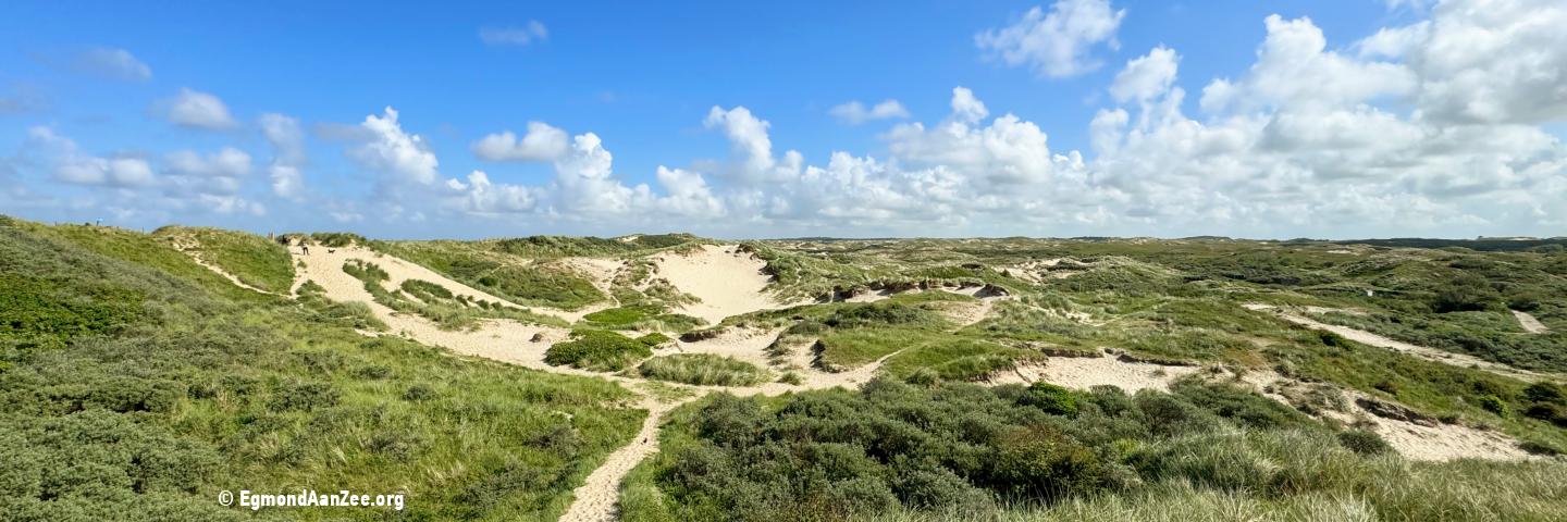 Noordhollands Duinreservaat, ten zuiden van Egmond