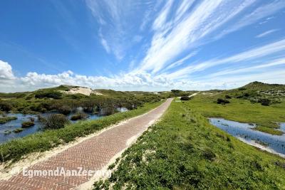 Noordhollands Duinreservaat, ten zuiden van Bergen aan Zee