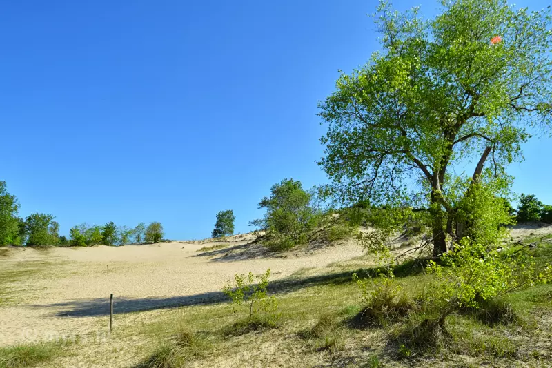 Natuur West-Vlaanderen