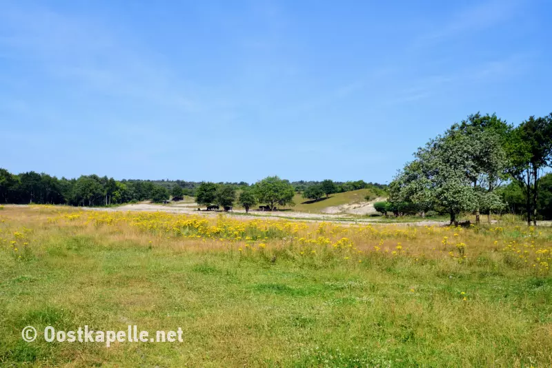 Oranjezon Oostkapelle 1307 03, Oostkapelle