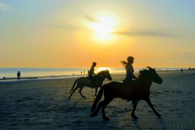 Paardrijden op het strand van Nieuwpoort