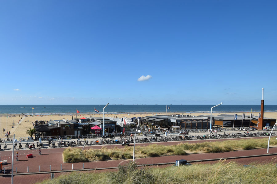 Surfen in Scheveningen