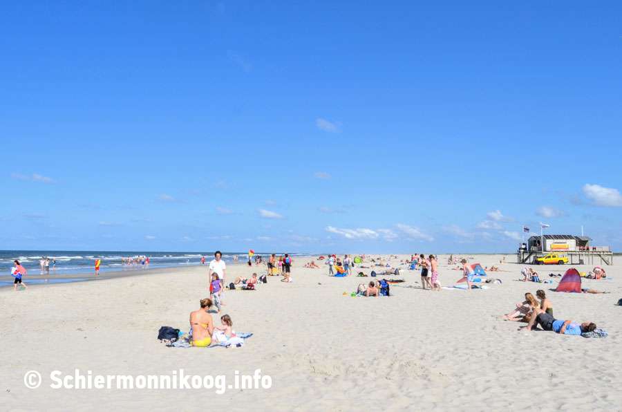 Beach Schiermonnikoog
