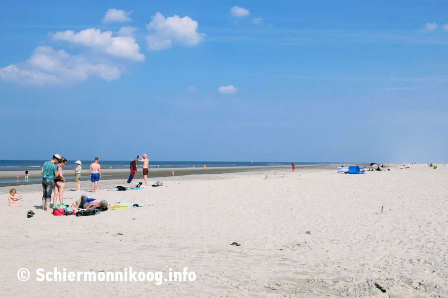 Strand Schiermonnikoog