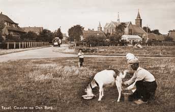 History Texel