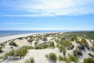 Natuur op Vlieland