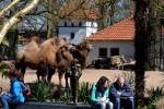 Artis Royal Zoo (April 2013) - #5