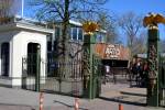 Artis Zoo (April 2013) - #6