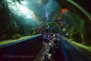 Sea Life Scheveningen