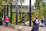 Artis Zoo (September 2014) - #4