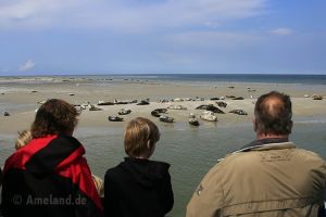 Robbenboot De Zeehond - 1