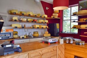 Ferme de Fromage Ameland - 1