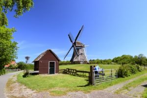 Molen de Phenix - 1