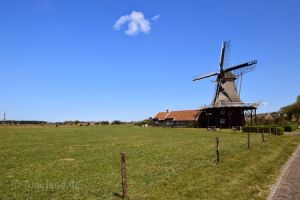 Grain and mustard mill De Verwachting - 1