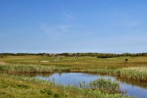 Golf course Ameland - 1