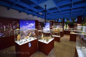 Naturmuseum Terschelling - 1