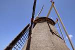 Moulin à grains et à moutarde De Verwachting (June 2015) - #6