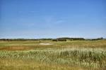 Golf d'Ameland (June 2015) - #4