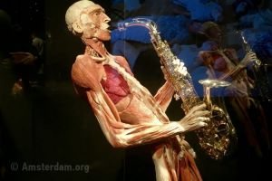 Body Worlds - 1