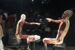 Body Worlds (March 2017) - #3