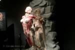 Body Worlds (March 2017) - #4