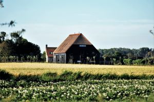 Schuur links - Hoeve Plantlust