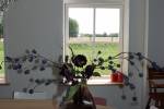 Woonhuis - Hoeve Plantlust
