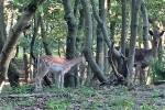 Schuur links - Hoeve Plantlust