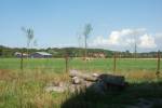 Schuur links - Hoeve Plantlust
