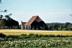 Schuur rechts - Hoeve Plantlust