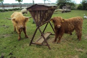 Speelboerderij Mariekerke - 1