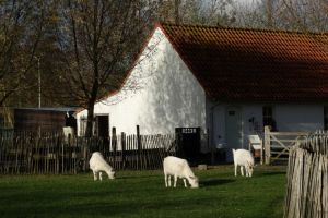 Kinder Farm De Lenspolder - 1