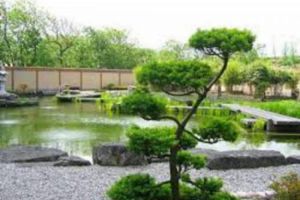 Japanischer Garten Shin Kai Tei - 1