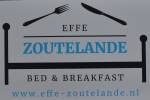 Effe-Zoutelande (March 2019) - #20