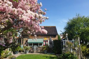 De Goudsbloem - Noordstraat 15 - 1