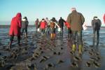 Sailing on the Wadden Sea (July 2020) - #2