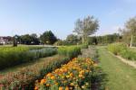 Kleinschalige camping Innerduyn