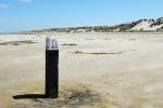 Beach pole (March 2023) - #2